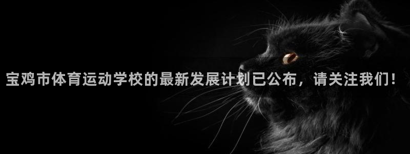 公海赌赌船官方正版app集团E.ON:宝鸡市体育运动学校的最